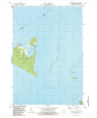 Chambers Island 1982 topographic map thumbnail