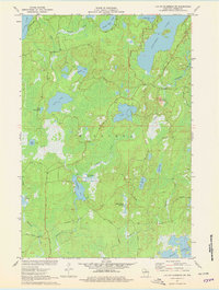Lac Du Flambeau SW 1971 topographic map thumbnail