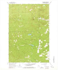 Mt. Valhalla 1964 topographic map thumbnail