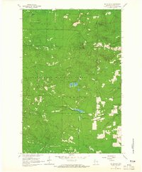 Mt. Valhalla 1964 topographic map thumbnail