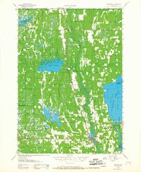 Necedah 1958 topographic map thumbnail