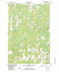 Peeksville 1984 topographic map thumbnail