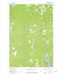 Pine Lake 1973 topographic map thumbnail