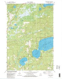 Pioneer Lake 1981 topographic map thumbnail