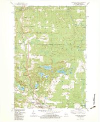 Wausaukee North 1982 topographic map thumbnail