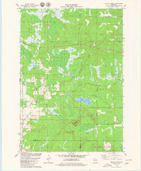Wildcat Mound 1979 topographic map thumbnail