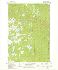 Wood Lake 1979 topographic map thumbnail