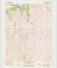 Charley Creek NE 1964 topographic map thumbnail