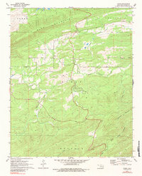Damon 1971 topographic map preview