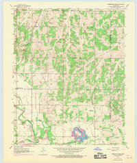 Horseshoe Lake 1956 topographic map thumbnail