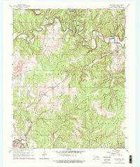 Nelagoney 1960 topographic map thumbnail