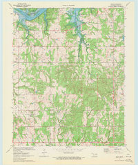 Olive 1970 topographic map preview