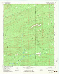 Signal Mountain 1962 topographic map thumbnail