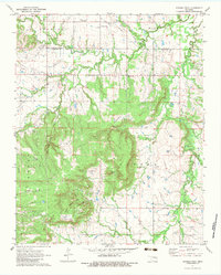 Spanish Peak 1971 topographic map thumbnail