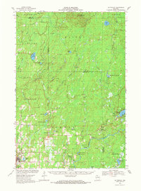 Butternut 1968 topographic map thumbnail