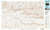 Sharon Springs topographic map thumbnail