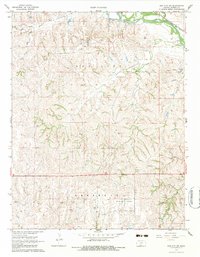 Sun City SW 1968 topographic map thumbnail