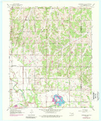 Horseshoe Lake 1956 topographic map thumbnail