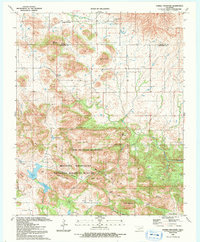 Saddle Mountain 1991 topographic map thumbnail