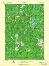 Pike Lake 1941 topographic map thumbnail