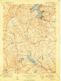 Harvey Lake topographic map thumbnail
