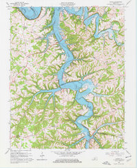 Austin 1965 topographic map thumbnail