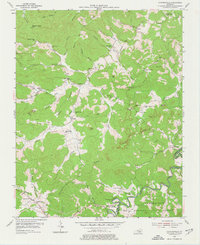 Coopersville 1954 topographic map preview