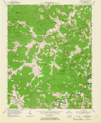 Coopersville 1954 topographic map preview
