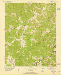 Coopersville 1954 topographic map preview