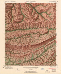 Ewing 1946 topographic map thumbnail