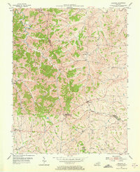 Leesburg 1954 topographic map thumbnail