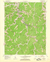 Wayland 1954 topographic map thumbnail