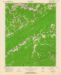 Whitesburg 1954 topographic map thumbnail