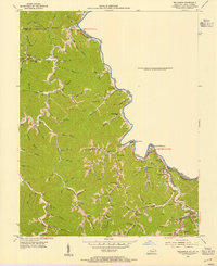 Williamson 1954 topographic map thumbnail