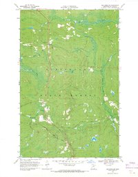 Ash River SW 1968 topographic map thumbnail