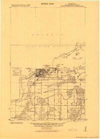 International Falls 1919 topographic map thumbnail