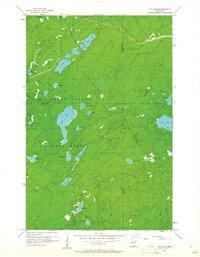 King Lake 1956 topographic map thumbnail