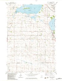 Lake Lillian 1982 topographic map thumbnail