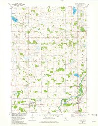 Mayer 1981 topographic map preview