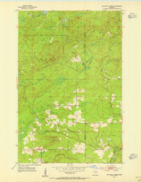 Mc Carthy Creek 1954 topographic map thumbnail