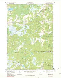 Mc Grath 1968 topographic map thumbnail