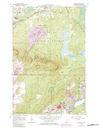 Mc Kinley 1950 topographic map thumbnail