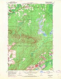 Mc Kinley 1950 topographic map thumbnail