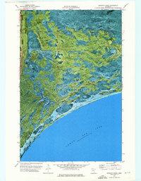 Mosquito Creek 1973 topographic map thumbnail