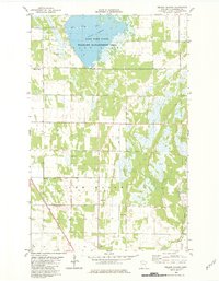 Nelson Slough 1982 topographic map thumbnail