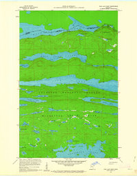 Pine Lake West 1959 topographic map thumbnail