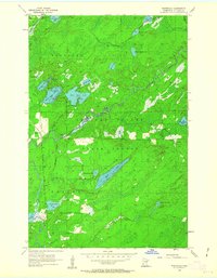 Whiteface 1956 topographic map thumbnail