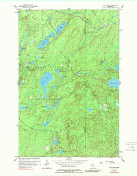 King Lake 1956 topographic map thumbnail