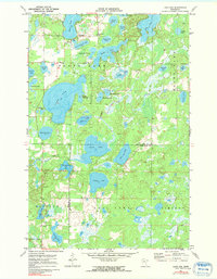 Lake Ada 1971 topographic map thumbnail