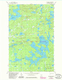 Lake Insula 1981 topographic map thumbnail